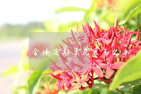 金条逾期了几天怎么办 金条逾期了几天怎么办