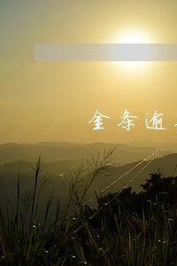 金条逾期了半个月还能借吗