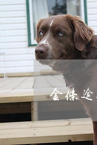 金条逾期了可以买车吗 金条逾期了可以买车吗