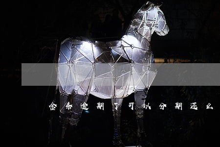 金条逾期了可以分期还么 金条逾期了可以分期还么