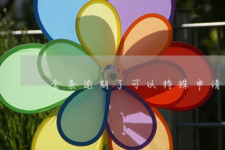 金条逾期了可以特殊申请吗 金条逾期了可以特殊申请吗