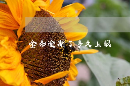 金条逾期了多久上报 金条逾期了多久上报