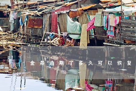 金条逾期了多久可以恢复额度 金条逾期了多久可以恢复额度
