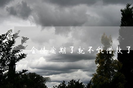 金条逾期了就不能借款了吗 金条逾期了就不能借款了吗