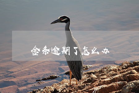 金条逾期了怎么办 金条逾期了怎么办