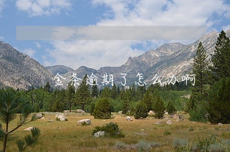 金条逾期了怎么办啊 金条逾期了怎么办啊