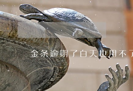 金条逾期了白天也用不了了 金条逾期了白天也用不了了