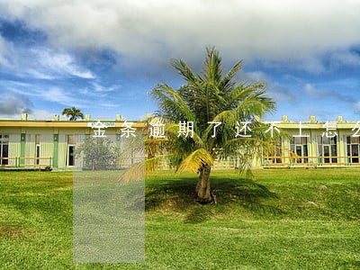 金条逾期了还不上怎么协商 金条逾期了还不上怎么协商