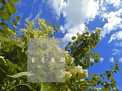 金条逾期了还能申请信用卡吗 金条逾期了还能申请信用卡吗