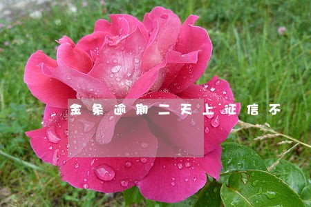 金条逾期二天上征信不 金条逾期二天上征信不