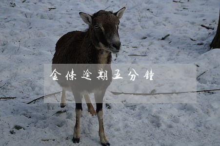 金条逾期五分钟 金条逾期五分钟