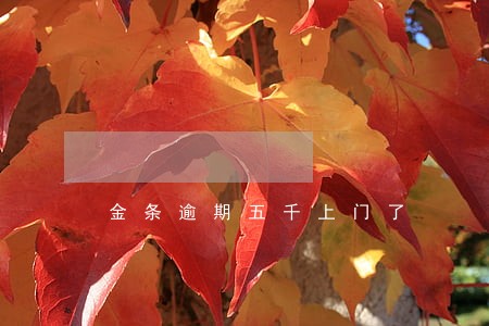 金条逾期五千上门了 金条逾期五千上门了