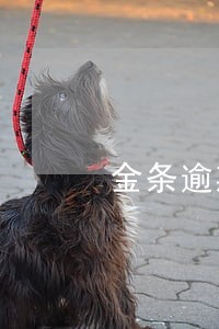 金条逾期五天会怎样 金条逾期五天会怎样