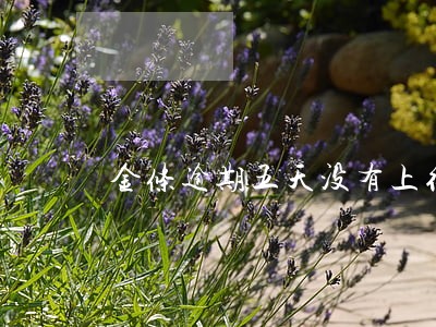 金条逾期五天没有上征信 金条逾期五天没有上征信