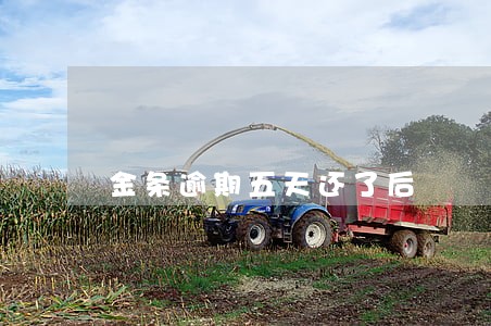 金条逾期五天还了后 金条逾期五天还了后