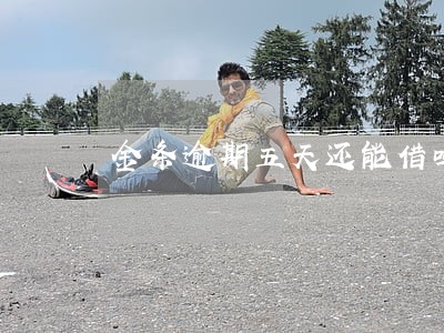 金条逾期五天还能借吗 金条逾期五天还能借吗