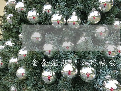 金条逾期什么时候会上门 金条逾期什么时候会上门