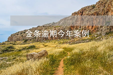 金条逾期今年案例 金条逾期今年案例