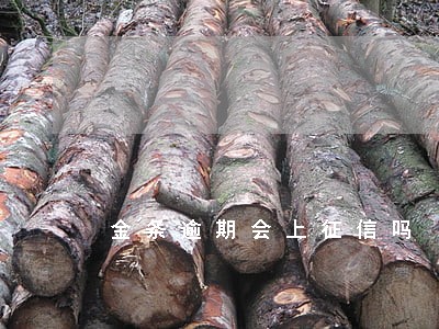 金条逾期会上征信吗 金条逾期会上征信吗