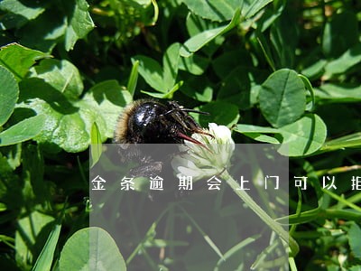 金条逾期会上门可以拒绝吗 金条逾期会上门可以拒绝吗