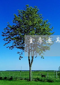 金条逾期会不会坐牢 金条逾期会不会坐牢