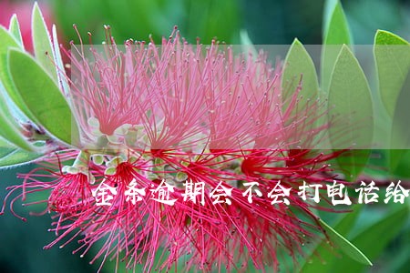 金条逾期会不会打电话给联系人 金条逾期会不会打电话给联系人