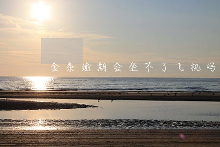 金条逾期会坐不了飞机吗 金条逾期会坐不了飞机吗