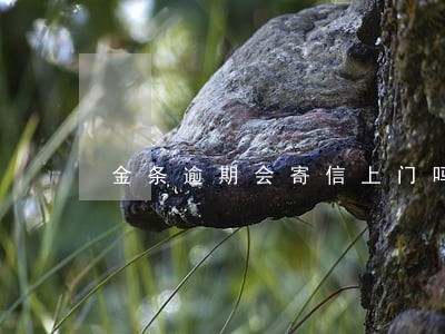 金条逾期会寄信上门吗 金条逾期会寄信上门吗