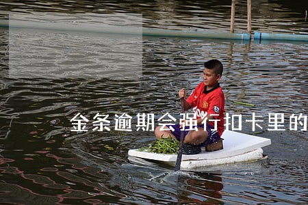 金条逾期会强行扣卡里的钱吗 金条逾期会强行扣卡里的钱吗