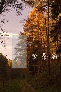 金条逾期会影响商业金条吗 金条逾期会影响商业金条吗