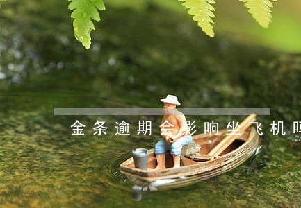 金条逾期会影响坐飞机吗 金条逾期会影响坐飞机吗