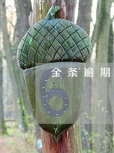金条逾期会影响花呗使用吗 金条逾期会影响花呗使用吗