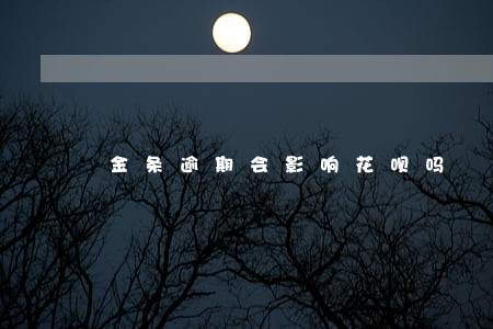 金条逾期会影响花呗吗 金条逾期会影响花呗吗