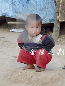 金条逾期会影响车贷吗 金条逾期会影响车贷吗