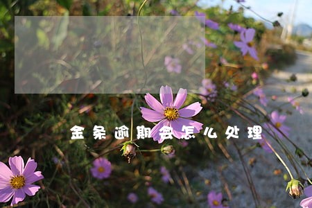金条逾期会怎么处理 金条逾期会怎么处理