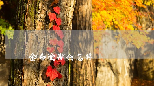 金条逾期会怎样 金条逾期会怎样