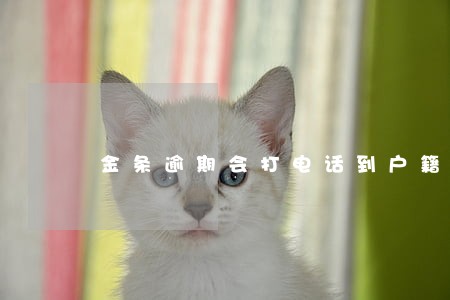金条逾期会打电话到户籍地吗 金条逾期会打电话到户籍地吗