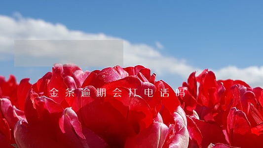 金条逾期会打电话吗 金条逾期会打电话吗