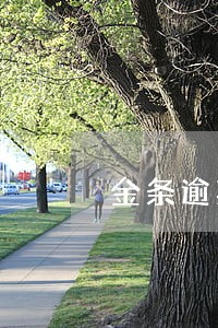 金条逾期会扣卡的钱吗 金条逾期会扣卡的钱吗