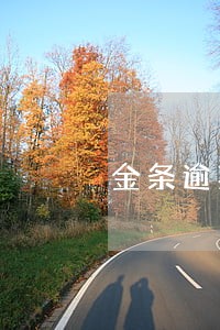 金条逾期会找家里人么 金条逾期会找家里人么