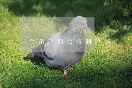 金条逾期会收利息吗 金条逾期会收利息吗