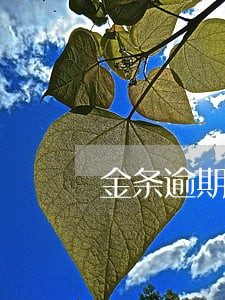金条逾期会有传票吗 金条逾期会有传票吗