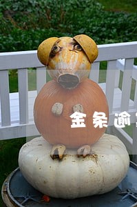 金条逾期会爆通讯吗 金条逾期会爆通讯吗