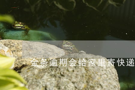 金条逾期会给家里寄快递嘛