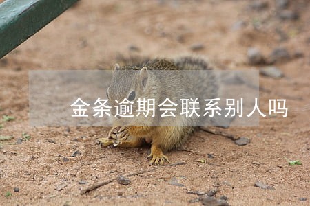 金条逾期会联系别人吗 金条逾期会联系别人吗