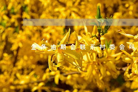 金条逾期会联系村委会吗
