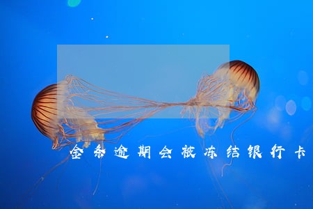 金条逾期会被冻结银行卡吗 金条逾期会被冻结银行卡吗