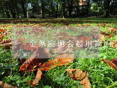 金条逾期会被刑拘吗