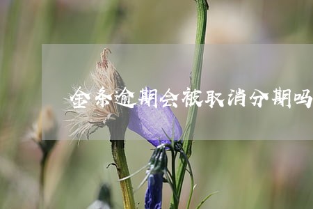 金条逾期会被取消分期吗 金条逾期会被取消分期吗