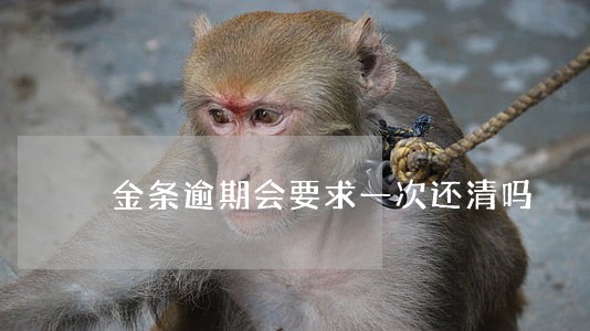 金条逾期会要求一次还清吗 金条逾期会要求一次还清吗